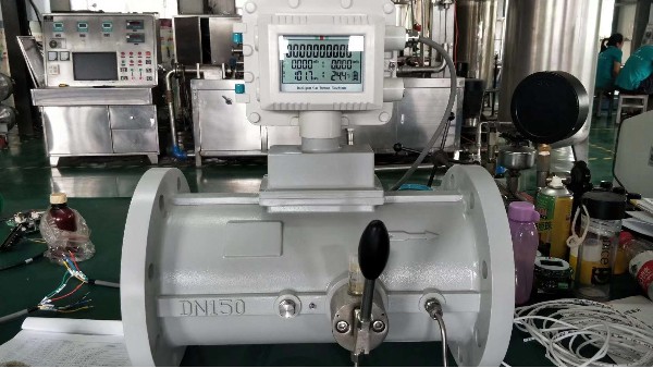 DN32沼气流量计选型